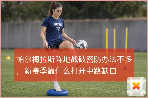 帕尔梅拉斯阵地战破密防办法不多，新赛季靠什么打开中路缺口